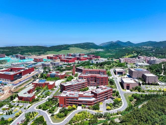 创新浪潮涌大连——全市科技大会为科技公司注入强劲动能
